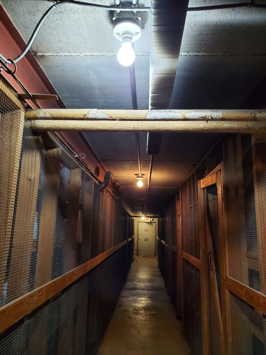 Attic Utility Lighting by IFX Electric serving Arlington Heights, Illinois
